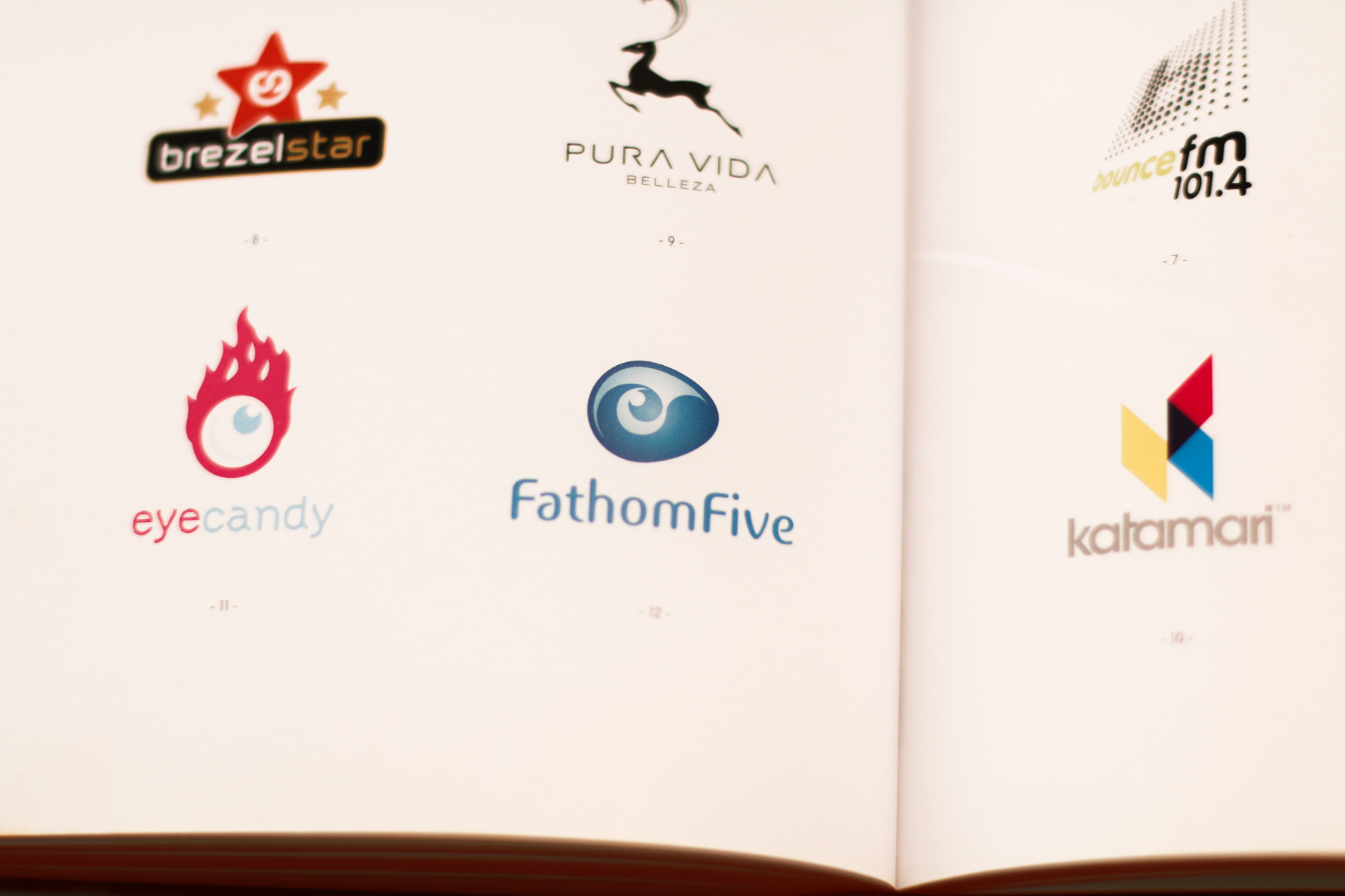 Logology, The wonderland of logo design