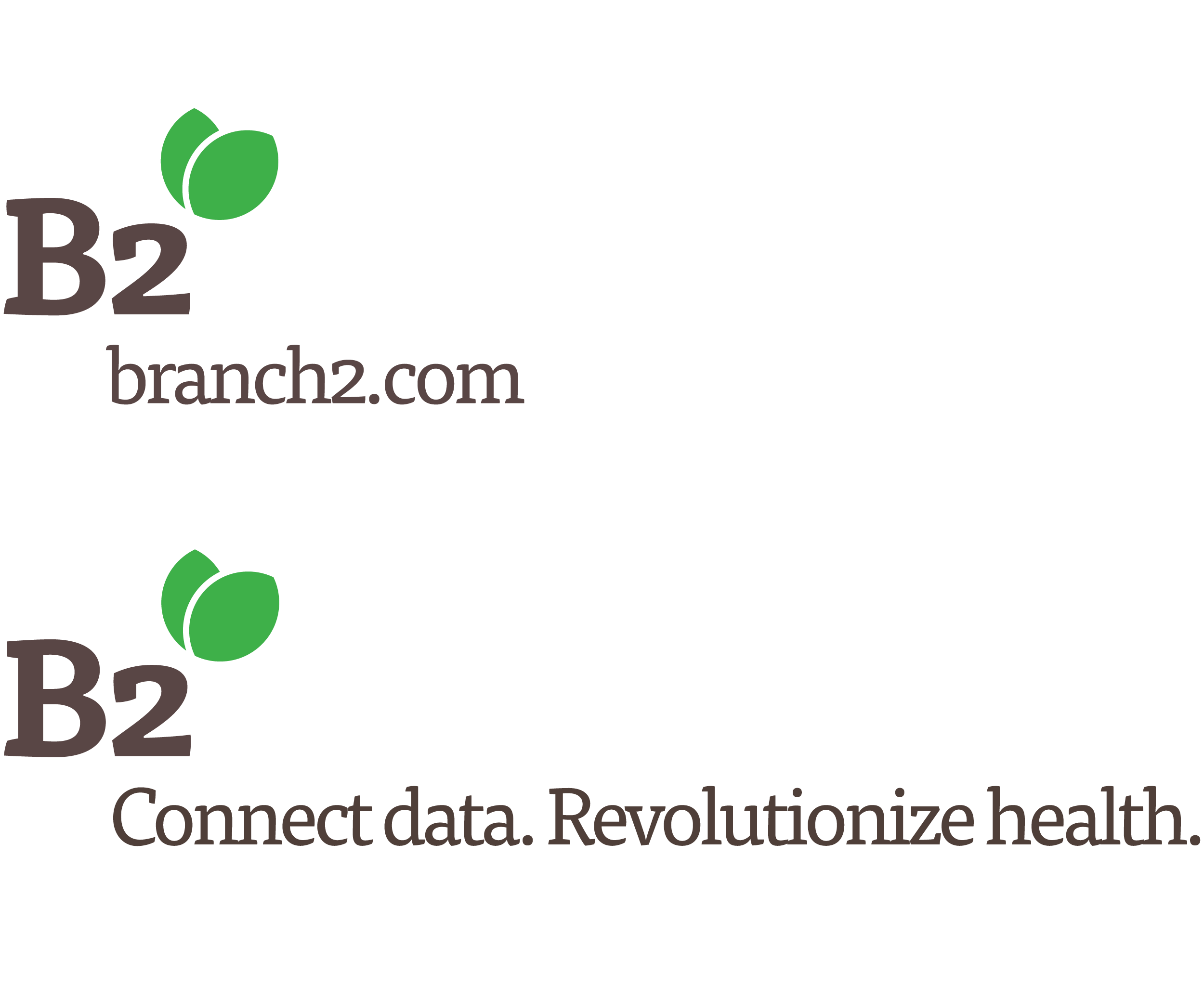 Branch2 Identity Design