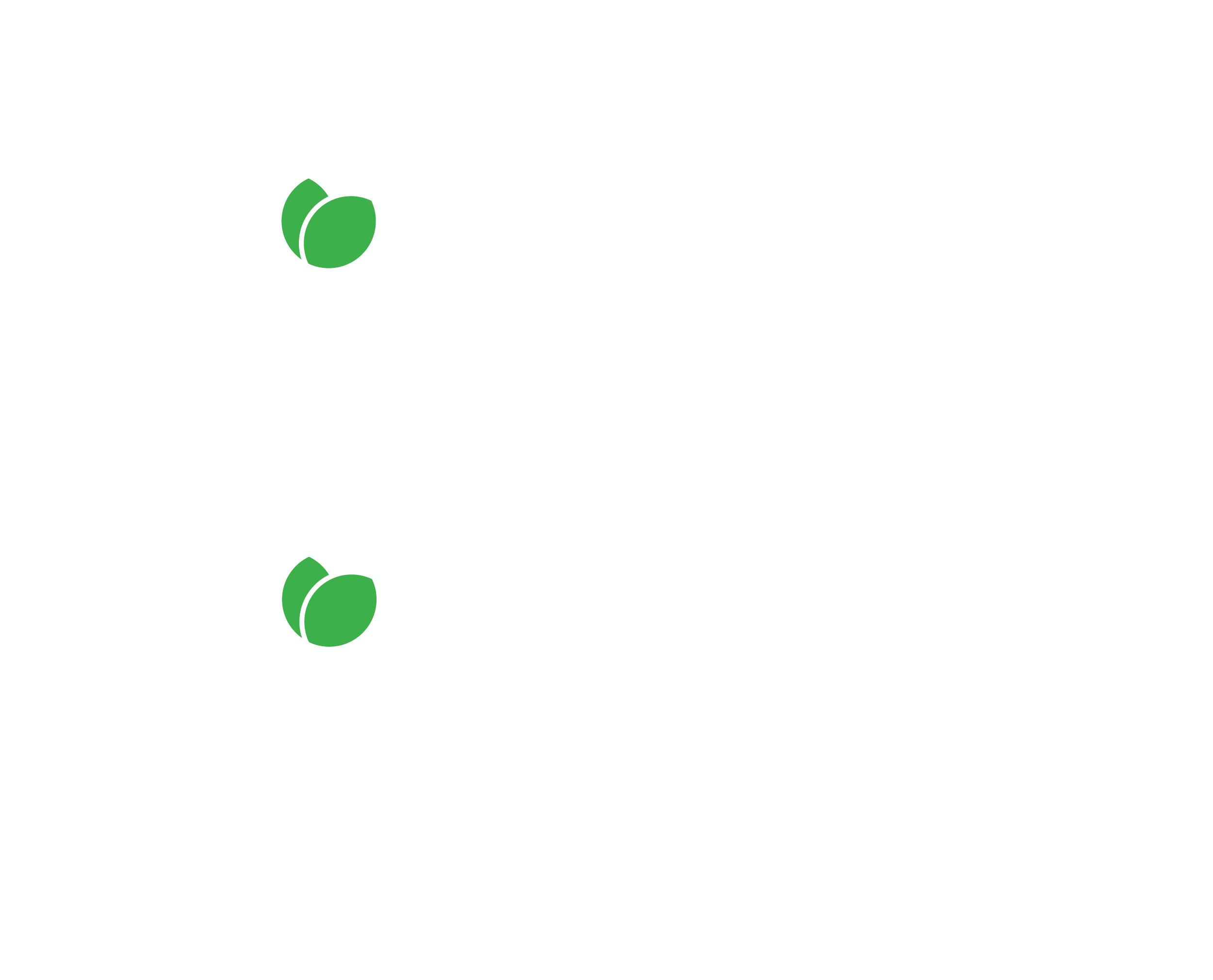 Branch2 Identity Design