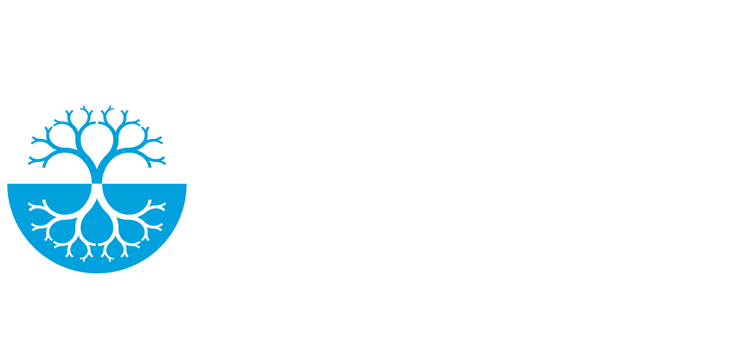 BlueTree Network